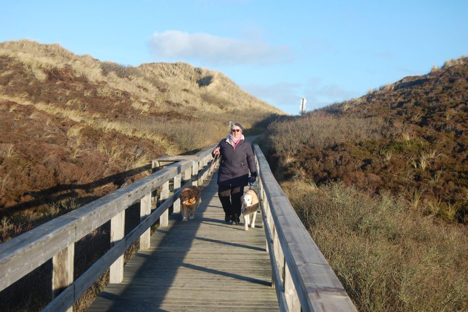 Hundeurlaub Urlaub mit Hund