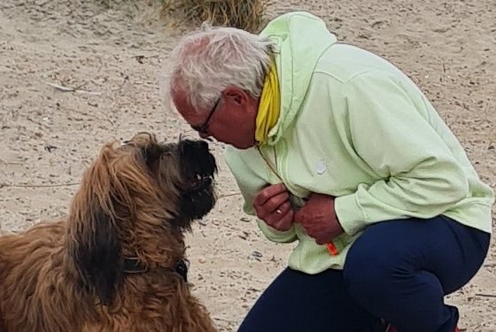 Hundeurlaub Urlaub mit Hund